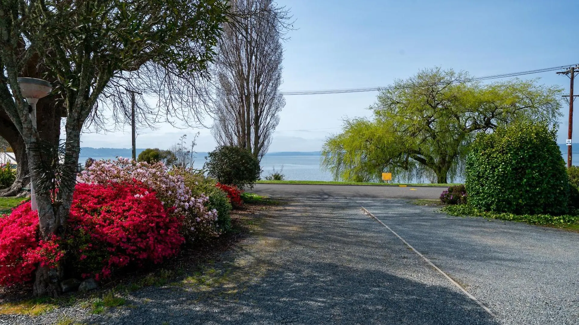 Jack & Di'S Lakefront Motel 罗托鲁阿 新西兰